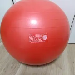 バランスボール エクササイズグッズ