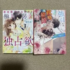 ベリーズ文庫５
