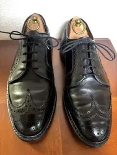 2026年最新】Allen Edmonds シューズ型：ウィングチップ メンズ ドレス