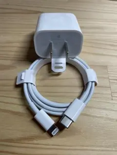 Apple純正の20W充電器とタイプC-ライトニングの1mケーブルのセット