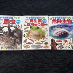 小学館の図鑑NEO DVD付 3冊セット 危険生物/昆虫/両生類・はちゅう類