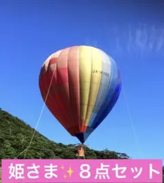 姫様✨️リクエスト 8点 まとめ商品