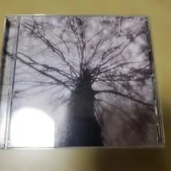 Item thumbnail for item e9da85f6-fe12-41de-bae8-7ccf727534fa