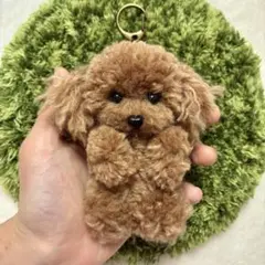 ＊うるうるトイプードル　毛糸キーホルダー＊ぬいぐるみマスコット　薄茶ブラウン　犬