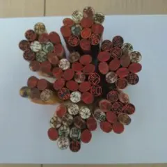 Item thumbnail for item 75f6db02-7f2d-4aed-8885-2ff2d3900f55