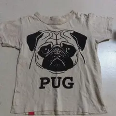 OJICO パグ Tシャツのサムネイル