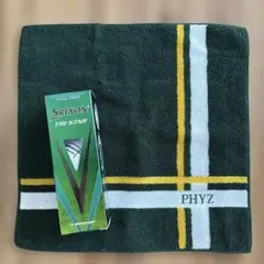 Item thumbnail for item 228d10b9-eb14-49d1-a9f6-5279e7b1eb83