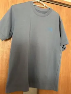 ノースフェイス　ショートスリーブバンダナスクエアロゴティー