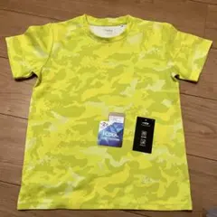 Item thumbnail for item 4e4c7923-9f45-4adb-9fa9-2a91017427f4