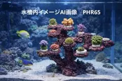 2026年最新】ライブロック 水槽の人気アイテム - メルカリ