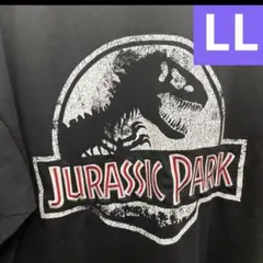 新品　ジュラシックパークTシャツ　半袖　刺繍　黒　ブラック　LLのサムネイル