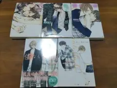 2026年最新】美しい彼 小説セットの人気アイテム - メルカリ