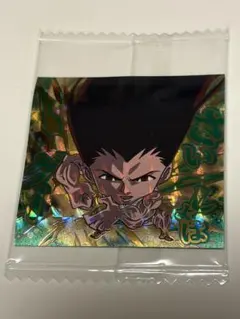値下げ！にふぉるめーしょん　シールウエハース　HUNTER×HUNTER ゴン