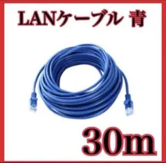 【新品】LANケーブル CAT5e 事務所　自宅 ネットワーク 安定 30m 青