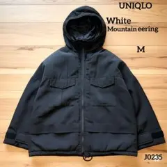 Item thumbnail for item 73cf5a8d-c313-471a-a7eb-7a31cf66ceb7