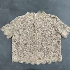 ZARA ザラ　半袖　クルーネック　シアーレースブラウス　花柄　刺繍