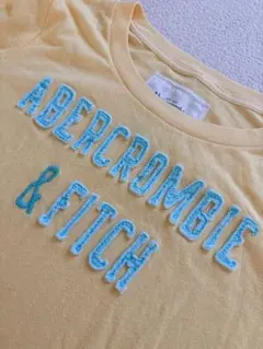 【送料無料】ABERCROMBIE & FITCH 半袖Tシャツ イエロー