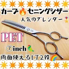 Item thumbnail for item 3d327e30-b05b-46a5-a817-273f43d62c9d