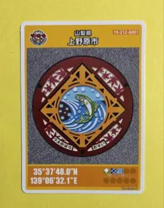 Item thumbnail for item a6fa40b2-51f8-46c2-bf31-cacea07cf9f8