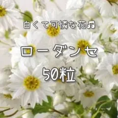ふうせん様 リクエスト 4点 まとめ商品