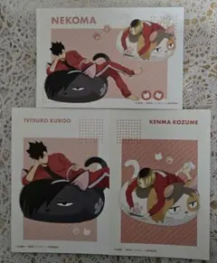 うさ様 リクエスト 3点 まとめ商品