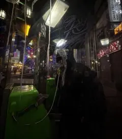 2026年最新】Aoc fur ma-1の人気アイテム - メルカリ