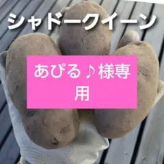 あぴる♪様専用 シャドークイーン ノーザンルビー 詰合せ