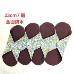 Item thumbnail for item ae7ba006-27a6-4cf7-ad3e-83c50c309a76