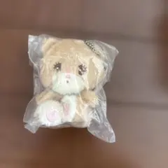 くま ぬいぐるみ マスコット キーホルダー