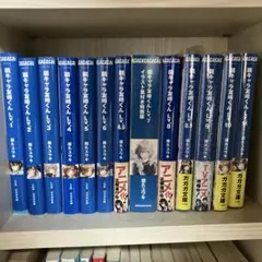炎の蜃気楼（ミラージュ） 桑原水菜 本編ほぼ全巻セット（※5巻のみ欠品） 炎の蜃気楼（ミラージュ） 桑原水菜 本編ほぼ全巻セット（※5巻のみ欠品