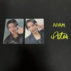 ラスピ　アダム　ADAM トレカ ステッカーセット　THE LAST PIECE