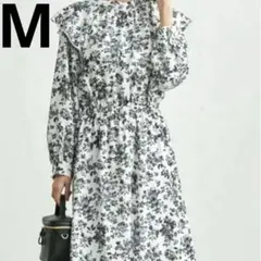 Item thumbnail for item 44bb9ee1-a1e5-4938-a7ef-fde03b75cc76