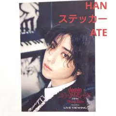 Stray Kids ハンジソン ATE LIVE VIEWING ステッカー