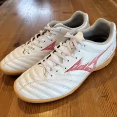 Item thumbnail for item 2ed6654a-7140-48e1-9782-b4c8e53708e4