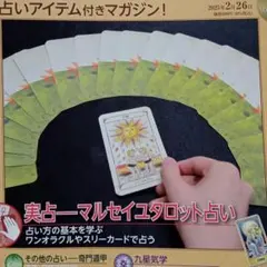 マークドタロット 手品 トランプ マジック ギミック 占い - メルカリ