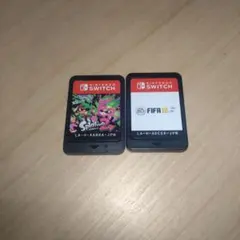 Nintendo Switch ソフト 2本セット