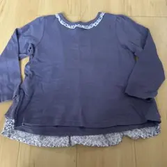 petit main オーガニックコットン Tシャツ 110