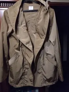 Item thumbnail for item 92cc6adb-14d4-45c6-9553-624605e02c63