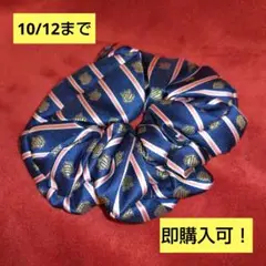 【パトレン3号】シュシュ