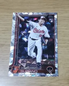 Item thumbnail for item 95046541-c7aa-4799-b10a-d12e262a135a