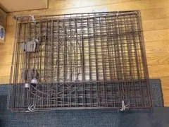 2026年最新】猫 ケージ中古の人気アイテム - メルカリ