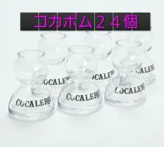 Item thumbnail for item 463621de-c9f8-41ee-8857-7e068a2efee2