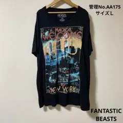 A Magical Welcome to New York Tシャツ　サイズＬ