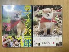 マメシバ一郎　DVD