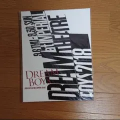 DREAM BOYS 2018 パンフレット