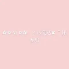 ✿❁﻿ M︎ ❁✿　2/16発送✘..՞ 様　専用