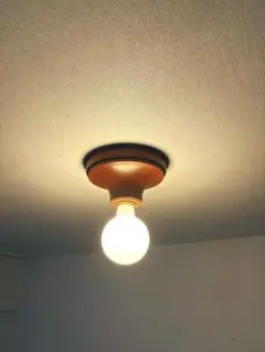 ACME Furniture IRVIN CEILING LAMP