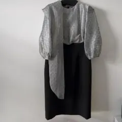 エレガントなシルバーとブラックのドレス