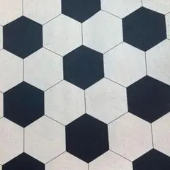 りんご様専用　サッカーボール柄　枕カバー　ハンドメイド