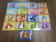 ポケモンストア限定 フライヤー 17枚センター